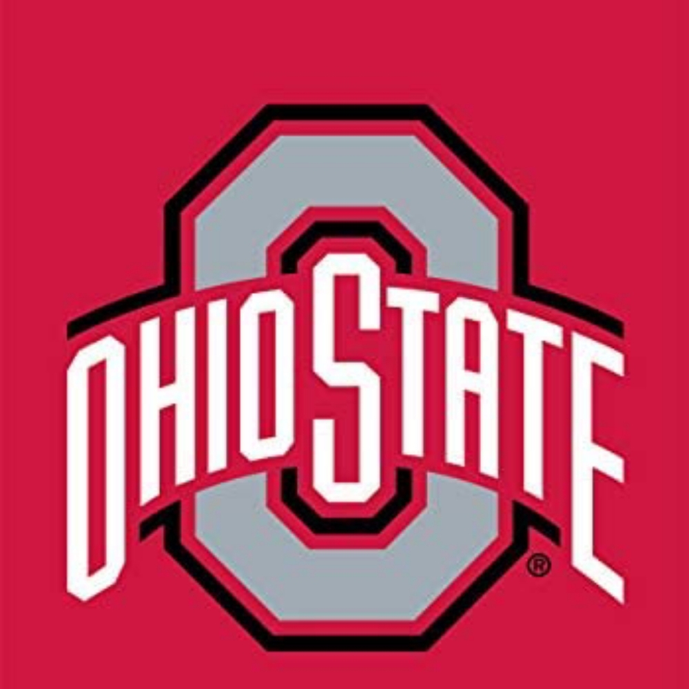 Briarwood Lane Ohio State Buckeyes Garden Flag College Licensed 12.5" x 18"